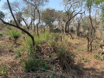 Nelspruit, مبومالانجا, جنوب أفريقيا 