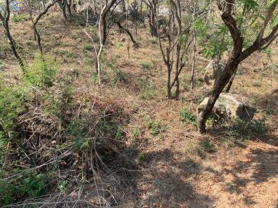 Nelspruit, Mpumalanga, 南非
