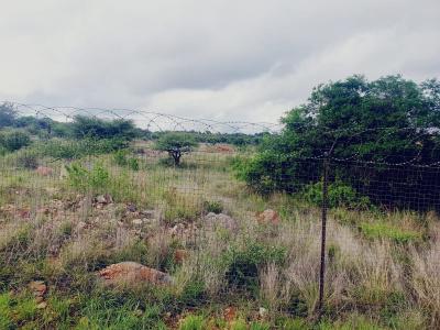 Polokwane, Limpopo, South Africa