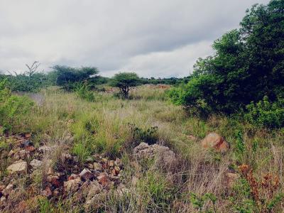 Polokwane, Limpopo, South Africa