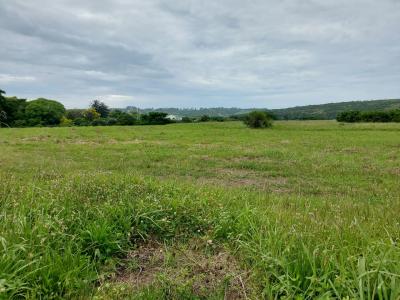 East London, Eastern Cape, 南アフリカ
