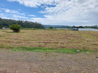 East London, Eastern Cape, 南アフリカ