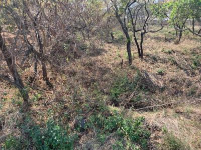 Nelspruit, Mpumalanga, 南非