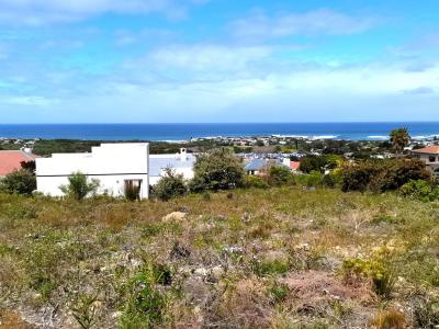 Hermanus, Western Cape, דרום אפריקה 