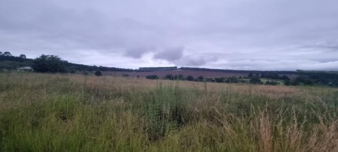 White River, Mpumalanga, South Africa