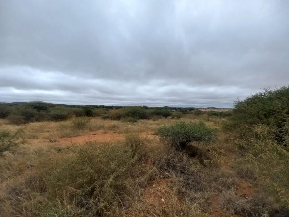 Polokwane, Limpopo, South Africa