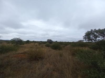 Polokwane, Limpopo, South Africa