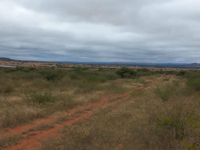 Polokwane, Limpopo, South Africa