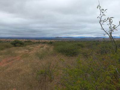 Polokwane, Limpopo, South Africa