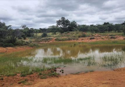 Modimolle, Limpopo, 南非