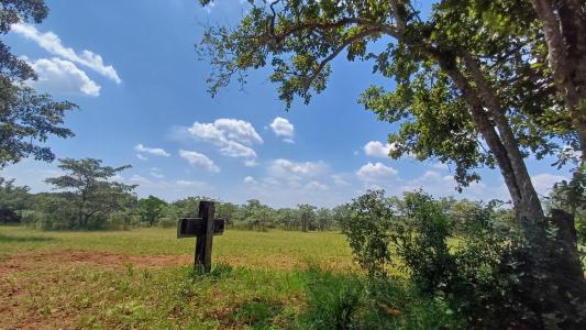 Modimolle, Limpopo, 南非