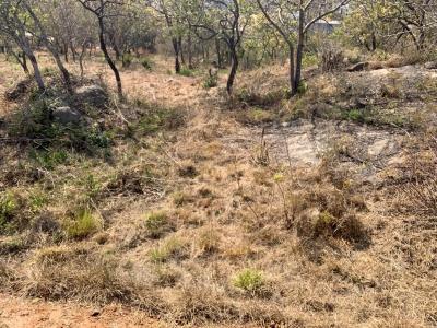 Nelspruit, مبومالانجا, جنوب أفريقيا 