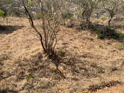 Nelspruit, Mpumalanga, 南非