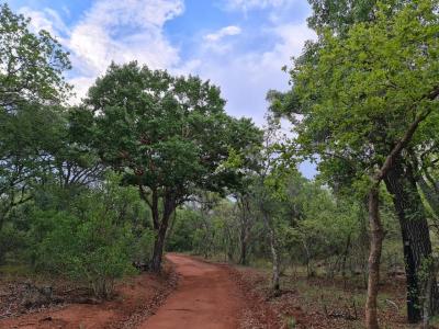 Bela Bela, Limpopo, 남아프리카