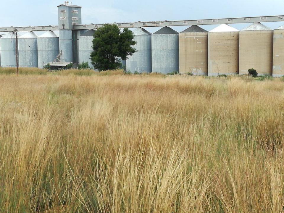Rustenburg, North West, South Africa