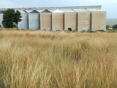 Rustenburg, North West, South Africa