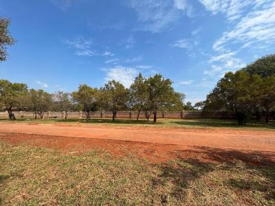 Mookgopong, Limpopo, 南非