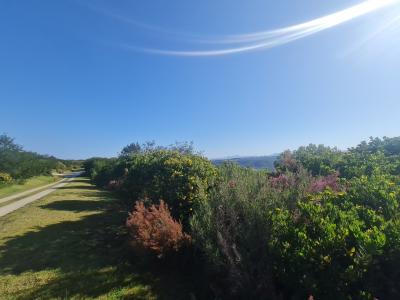 Knysna, Western Cape, South Africa