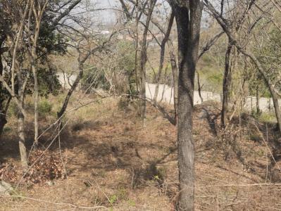 Nelspruit, Mpumalanga, South Africa