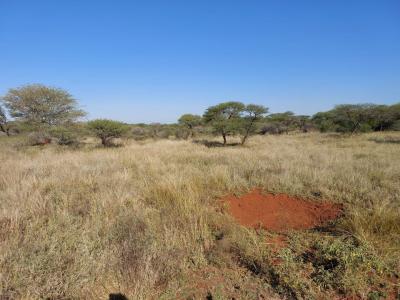 Northam, Limpopo, 남아프리카
