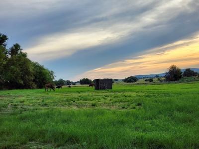 Bela Bela, Limpopo, 남아프리카