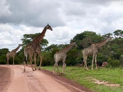 Bela Bela, Limpopo, 남아프리카