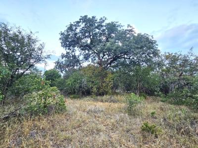 Hoedspruit, Limpopo, South Africa