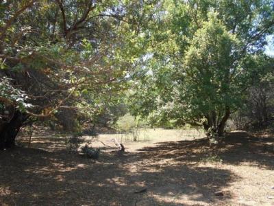 Swartruggens, North West, דרום אפריקה