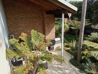 Springs, Gauteng, South Africa