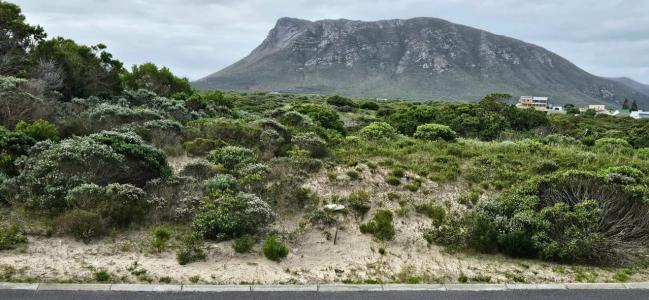 Gansbaai, Western Cape, 남아프리카