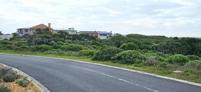 Gansbaai, Western Cape, 남아프리카