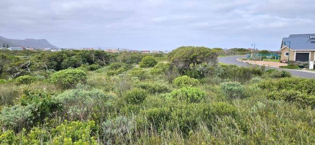 Gansbaai, Western Cape, 남아프리카