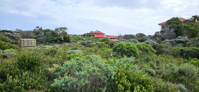 Gansbaai, Western Cape, 남아프리카