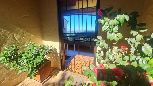 Plettenberg Bay, Western Cape, דרום אפריקה