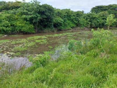 East London, Eastern Cape, South Africa