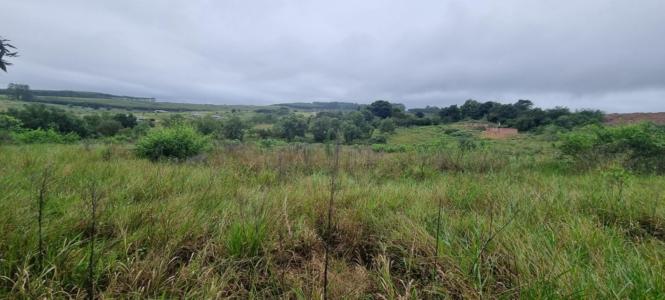 White River, Mpumalanga, Güney Afrika