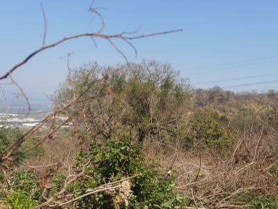 Nelspruit, Mpumalanga, 南非