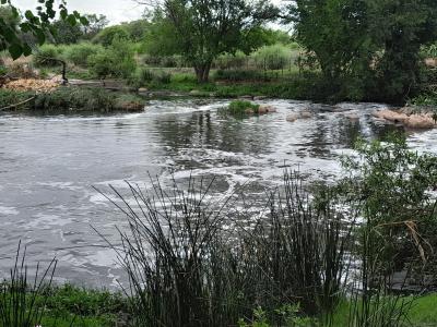 Pretoria, Gauteng, South Africa