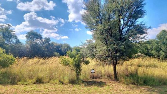 Modimolle, Limpopo, Afrique Du Sud