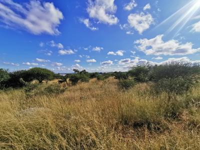 Polokwane, Limpopo, South Africa