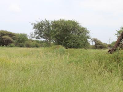 Northam, Limpopo, Южная Африка