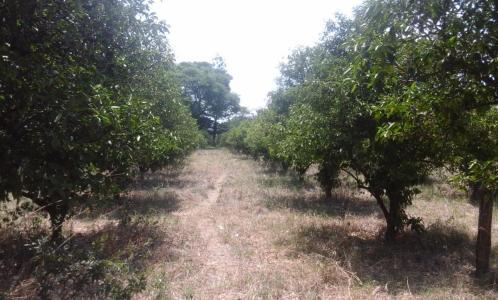 Rustenburg, North West, 南非