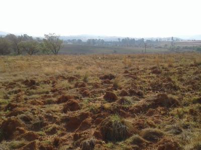 Krugersdorp, Gauteng, África Do Sul