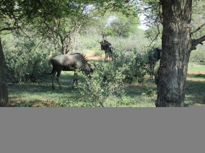 Northam, Limpopo, South Africa