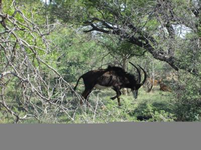 Northam, Limpopo, South Africa