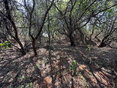 Barberton, Mpumalanga, Afrique Du Sud
