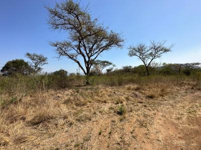 Barberton, Mpumalanga, Sudáfrica