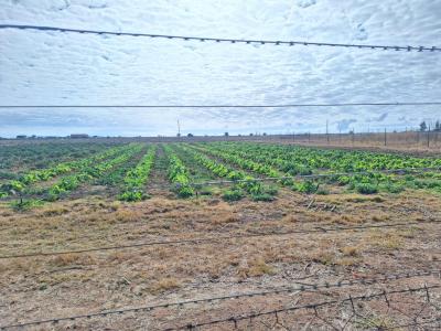 Polokwane, Limpopo, South Africa