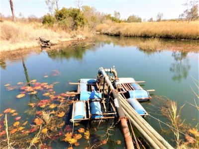 Modimolle, Limpopo, דרום אפריקה