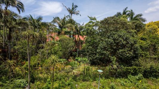 White River, مبومالانجا, جنوب أفريقيا